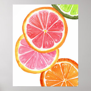 Citrus 16 X 20 Aquarellkunst Print Poster