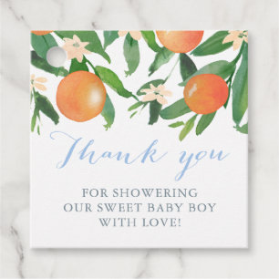 Citrus Baby Shower for Sweet Baby Boy Geschenkanhänger