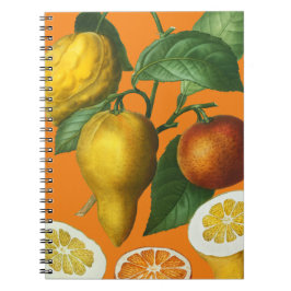 CITRUS FRUIT NOTEBOOK NOTIZBLOCK