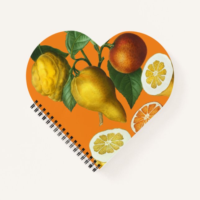 CITRUS FRUIT NOTEBOOK NOTIZBUCH (Vorderseite)