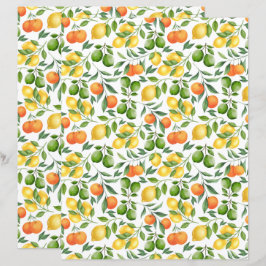 Citrus Fruit Scrapbook Paper