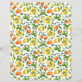 Citrus Fruit Scrapbook Paper