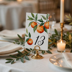 Citrus Hochzeit Elegante mediterrane Orange Tischnummer