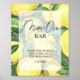 Citrus-Limonen - Mon-osa-Bar-Poster Poster