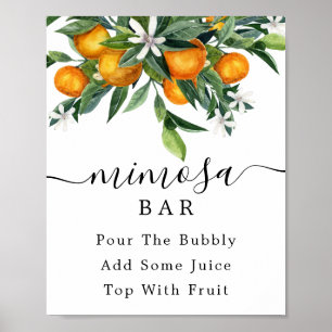 Citrus Mimosa Bar Schild