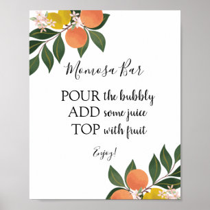 Citrus Momosa Bar Drink Sign Poster