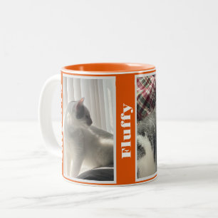 Citrus Orange Haustierfotos und Namen  Zweifarbige Tasse