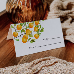 Citrus Orange Wedding Tischnummer Platzkarte