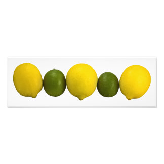 Citrus Row Foto
