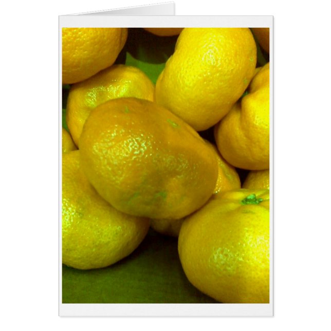 Citrus Squash (Vorne)