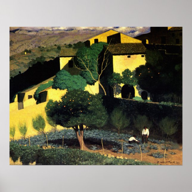 Citrus Trees Garden in Cagnes Poster (Vorne)