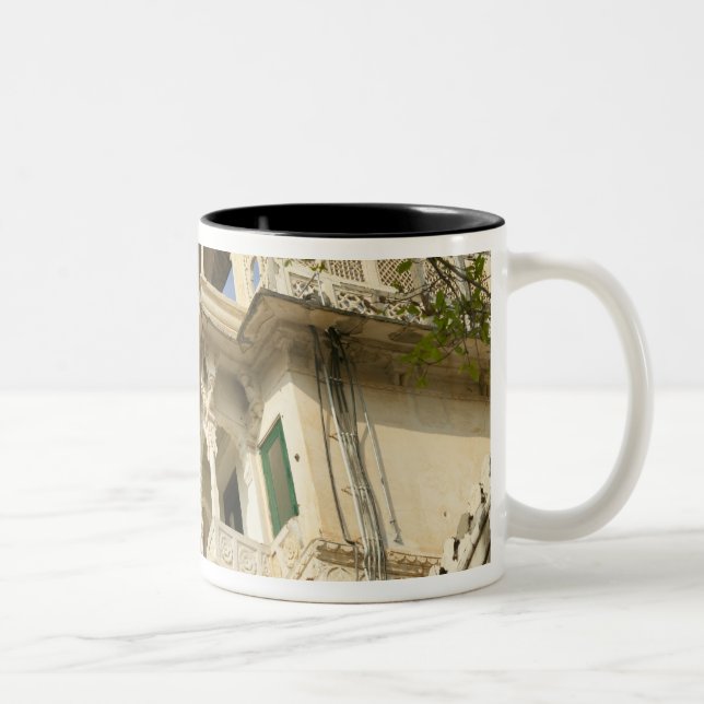 City Palace, Udaipur, Rajasthan, Indien Zweifarbige Tasse (Rechts)