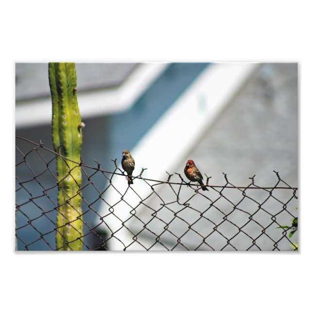 City Terrace Fotodruck (Vorne)