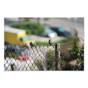 City Terrace Fotodruck