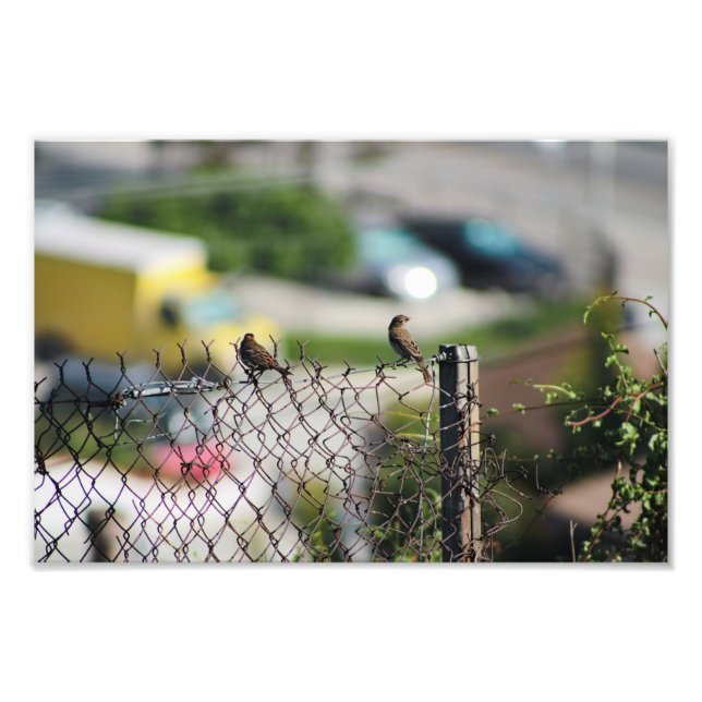 City Terrace Fotodruck (Vorne)