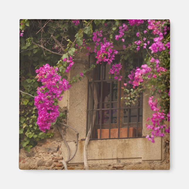 Ciudad Monumental, Gebäude mit Blume Magnet (Vorne)