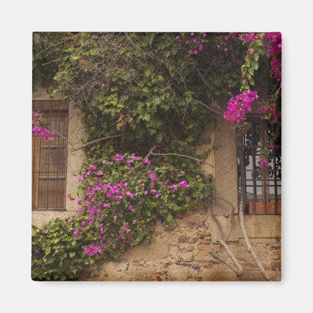 Ciudad Monumental, Gebäude mit Blume Magnet (Vorne)