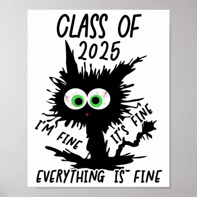 Cl of 2025 Funny Black Cat Poster (Vorne)