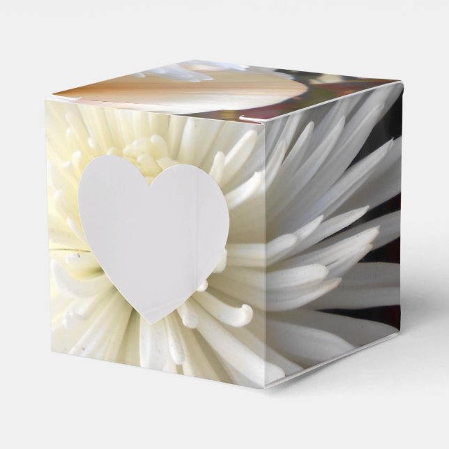 Claicia Geschenkschachtel (Vorderseite)