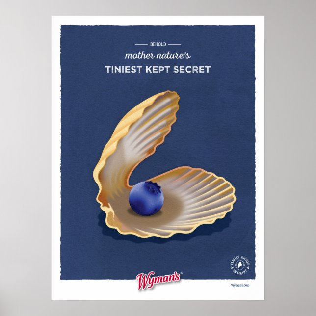 Clam Muschel WBB Poster (Vorne)