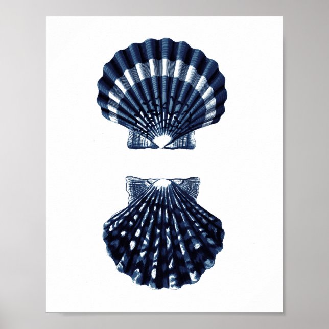 Clam Muscheln Navy Blue Beach Dekoration (Vorne)