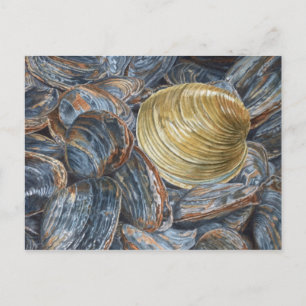 Clams and Quahog Art Postcard Postkarte