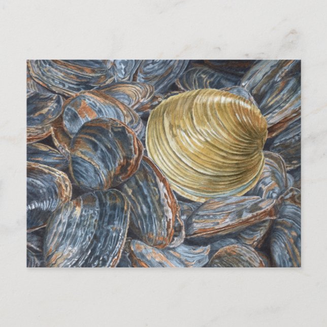 Clams and Quahog Art Postcard Postkarte (Vorderseite)