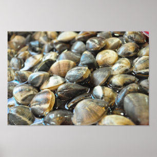 Clams - Nah und persönlich - High Definition Poster