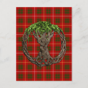 Clan Bruce Tartan und keltischer Lebensbaum Postkarte