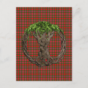 Clan MacAlister Tartan und keltischer Baum des Leb Postkarte