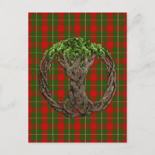 Clan MacGregor Tartan und keltischer Baum des Lebe Postkarte