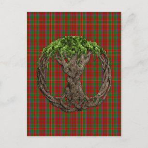 Clan Munro Tartan und keltischer Baum des Lebens Postkarte