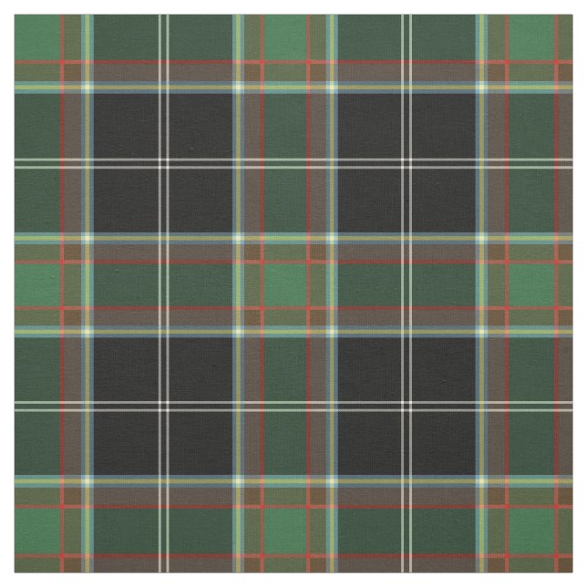 Clan Webster Tartan Stoff (Muster)