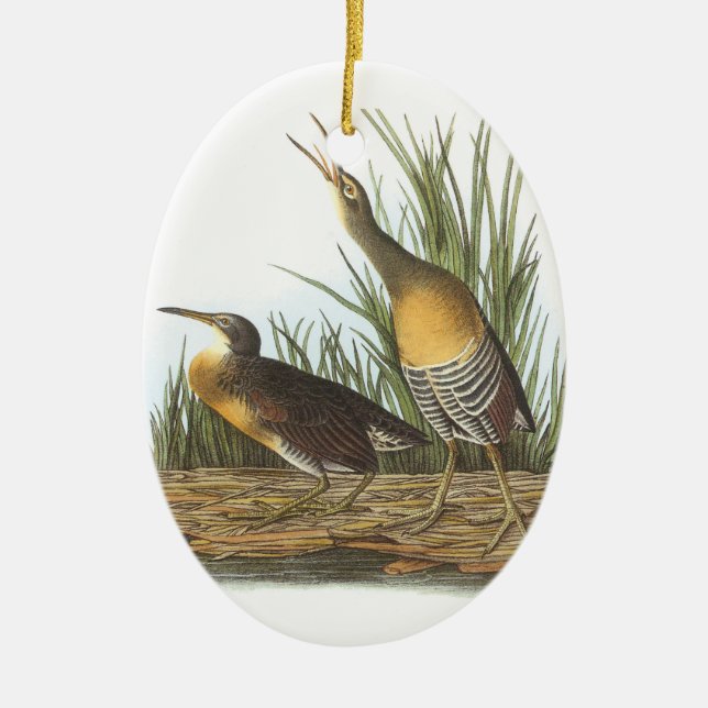 Clapper Rail von Audubon Keramik Ornament (Vorne)