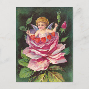 Clapsaddle: Blume Cherub Rose Postkarte