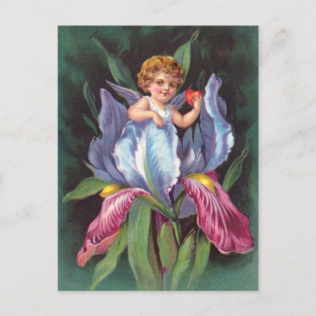 Clapsaddle: Blumencherub Iris Postkarte (Vorderseite)