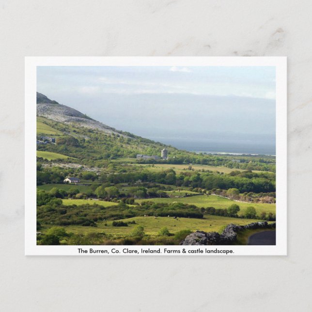 Clare, Irland, Bauernhäuser und Felder in Kilfenor Postkarte (Vorderseite)