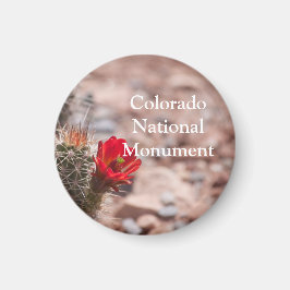 Claret Cup Cactus in Colorado Magnet