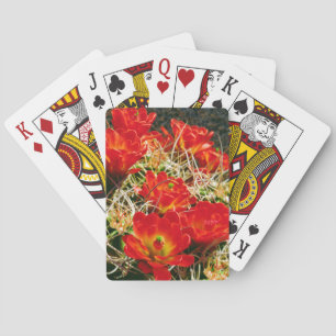Claret Cup Kaktus Wildblumen Spielkarten