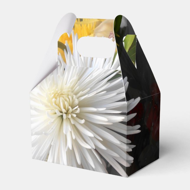 Clarica Geschenkschachtel (Vorderseite)