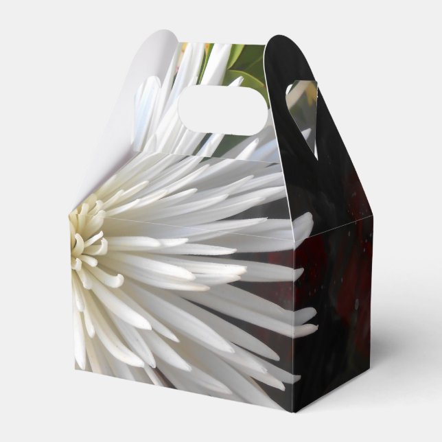 Claricia Geschenkschachtel (Vorderseite)