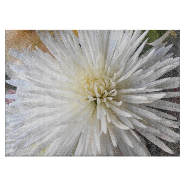 Claricia Schneidebrett (Vorderseite)