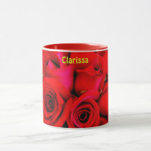 CLARISSA ~ Buds Personalisierte Rose ~ Fotografier