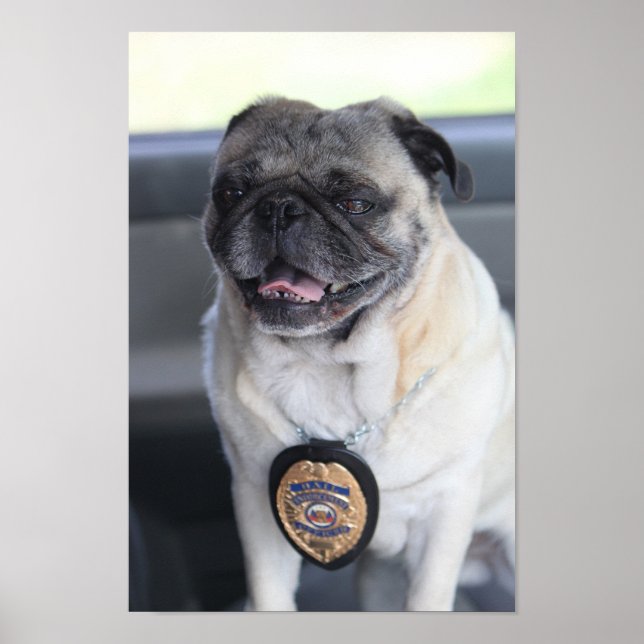 Clark als Mops Poster (Vorne)