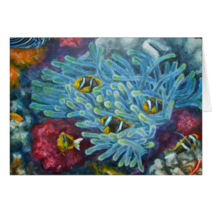 clarks clownfish mit Anemone