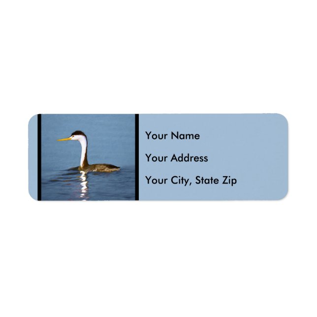Clark's Grebe Painting - Original Bird Art (Vorne)