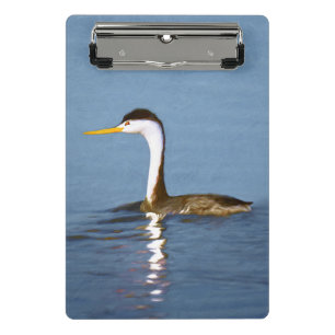 Clark's Grebe Painting - Original Bird Art Mini Klemmbrett