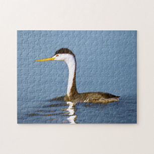 Clark's Grebe Painting - Original Bird Art Puzzle