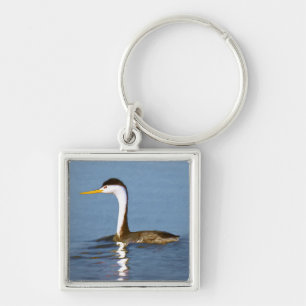 Clark's Grebe Painting - Original Bird Art Schlüsselanhänger