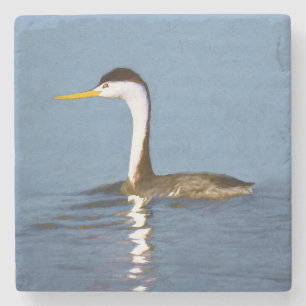 Clark's Grebe Painting - Original Bird Art Steinuntersetzer